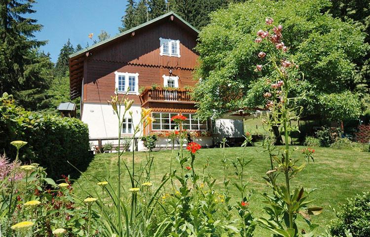 بنسيون Myslivna