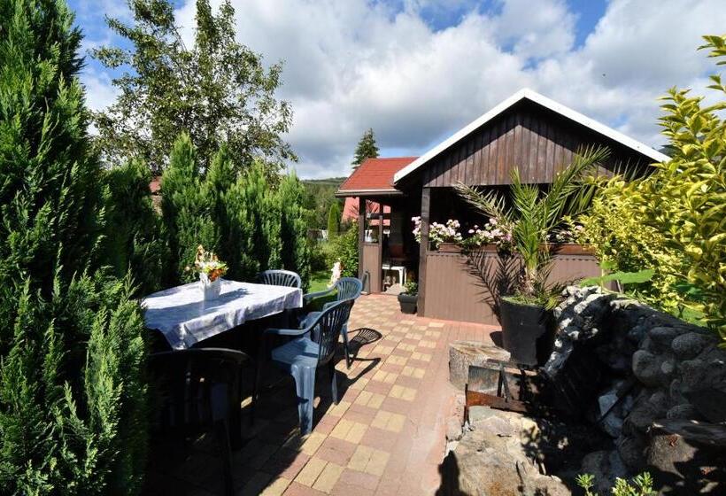 פנסיון Privát Lujza