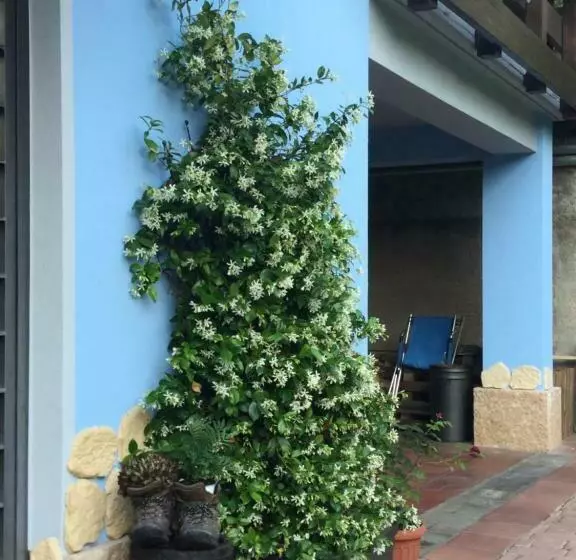 تختخواب و صبحانه Bnb Trento