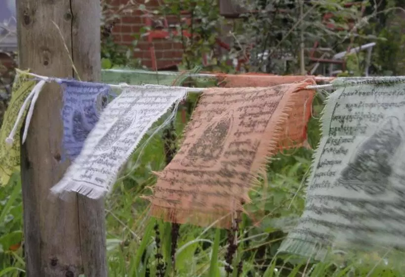 Aamiaismajoitus (B&B) De Weide Wereld