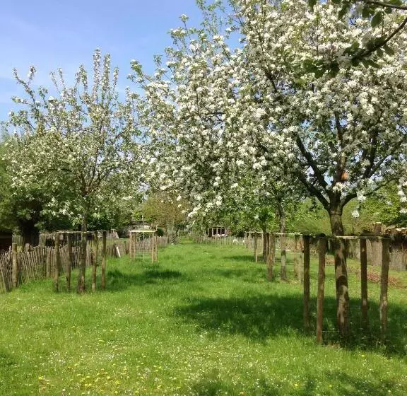 Aamiaismajoitus (B&B) De Weide Wereld