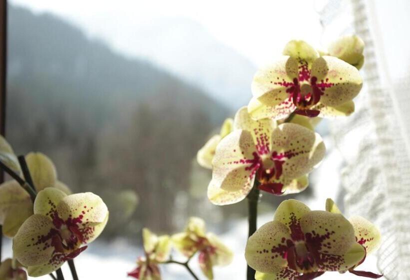 مبيت وإفطار Haus Derra