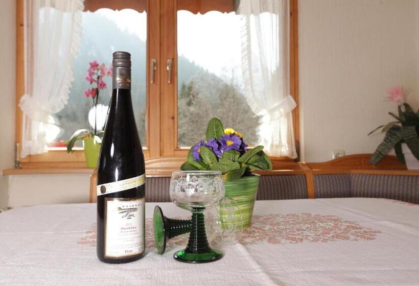 مبيت وإفطار Haus Derra