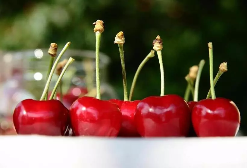 Aamiaismajoitus (B&B) I Calleri Garden And Rooms