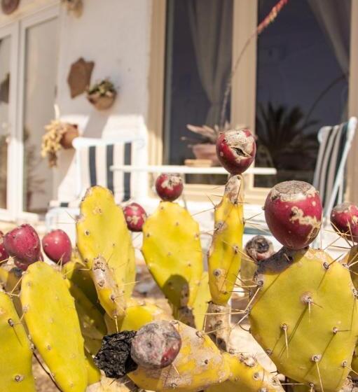 مبيت وإفطار Poggio Bellavista