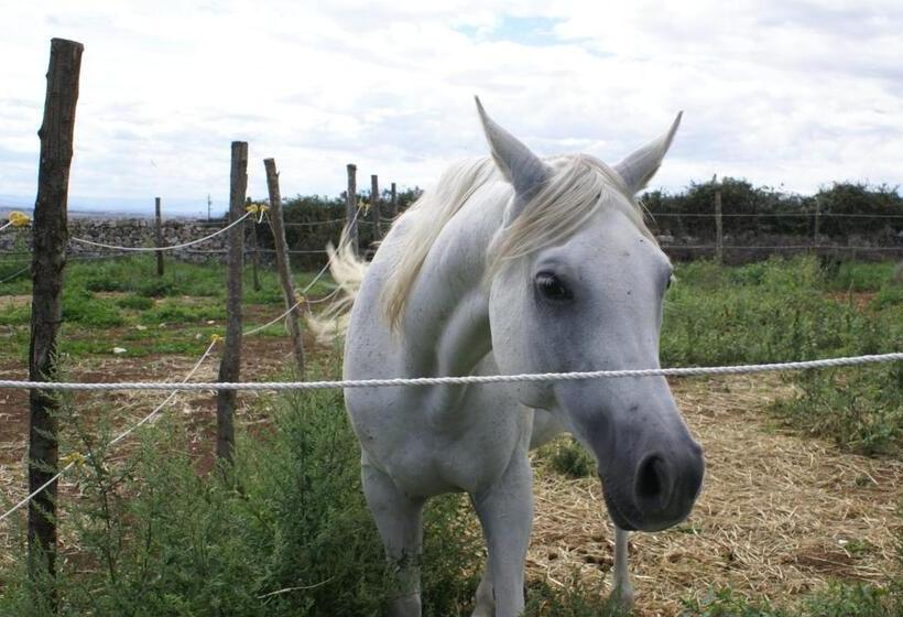هتل Agriturismo Murà