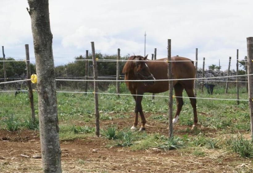 هتل Agriturismo Murà