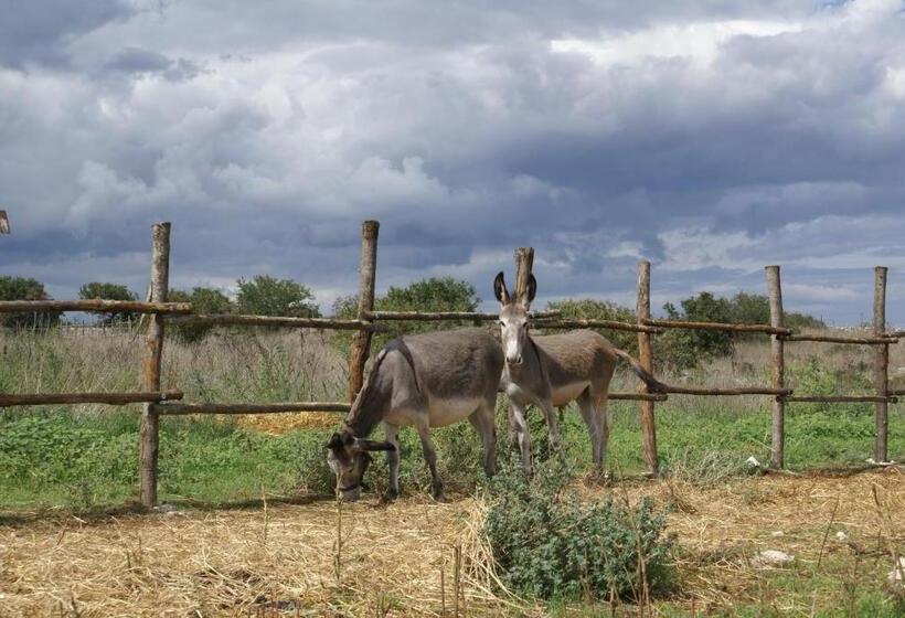 هتل Agriturismo Murà