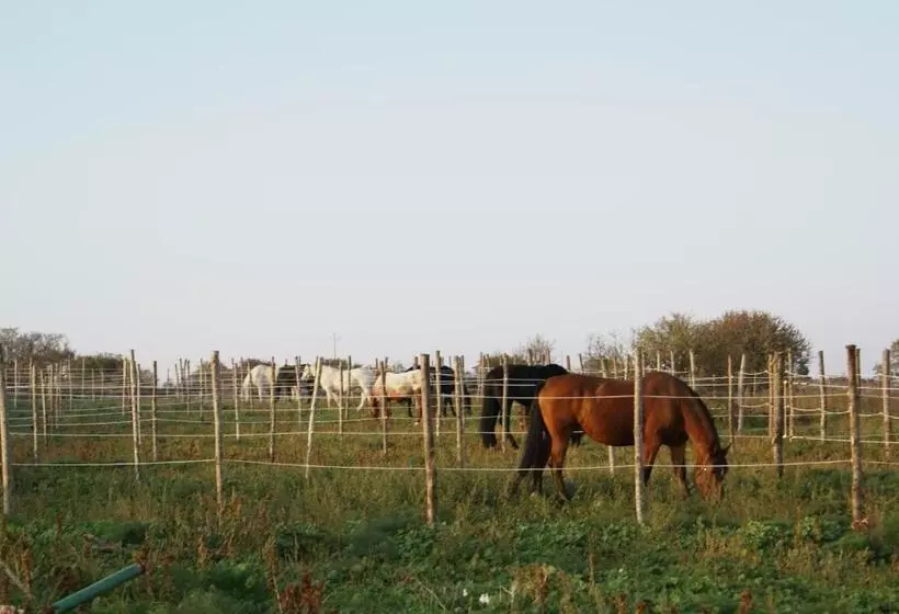 هتل Agriturismo Murà