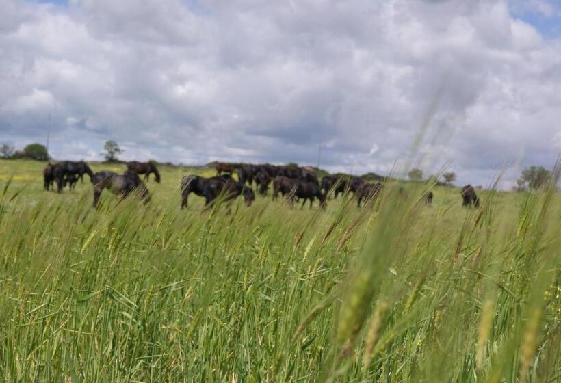 هتل Agriturismo Murà