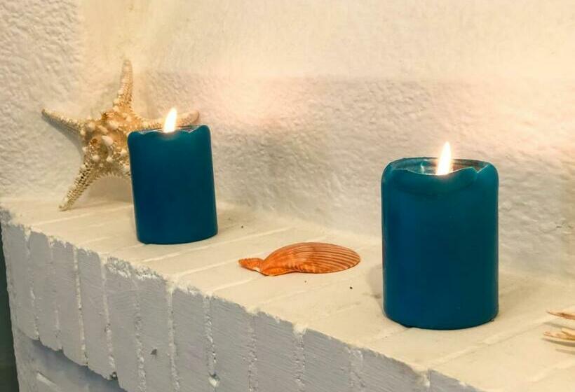 פנסיון Greentree House