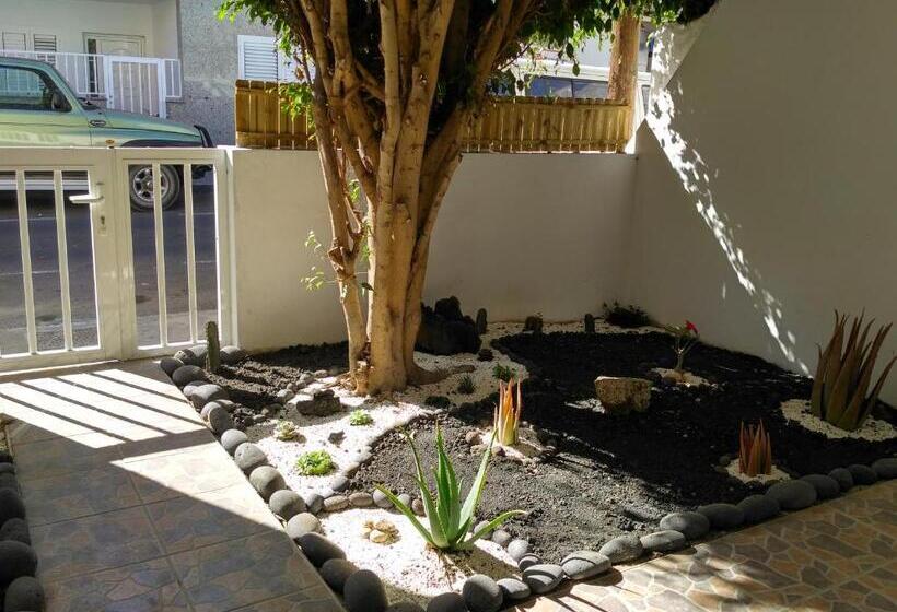 פנסיון Greentree House