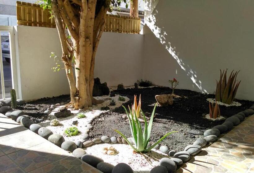 פנסיון Greentree House