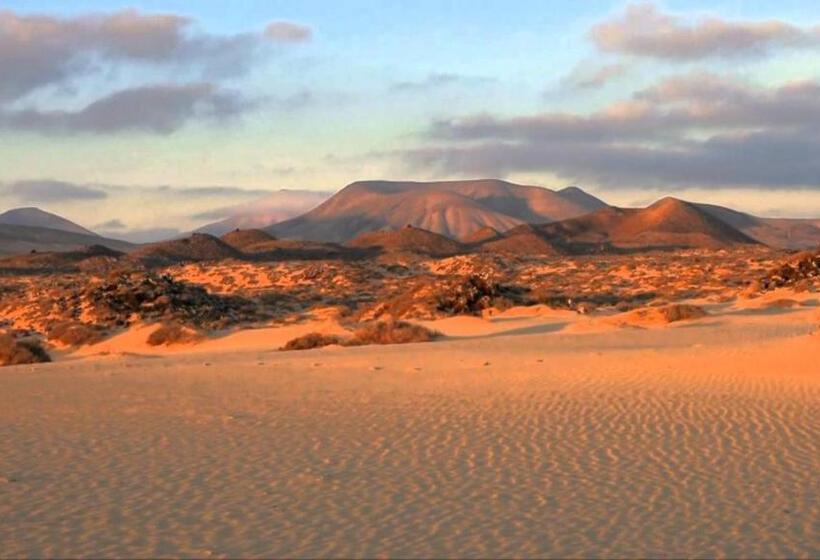 פנסיון Greentree House