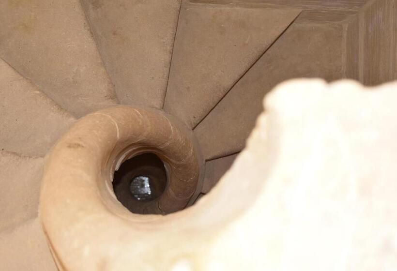 پانسیون Maria Townhouse Heart Of Victoria B&b