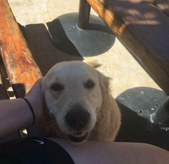 بنسيون Mosterts Hoek Guest House