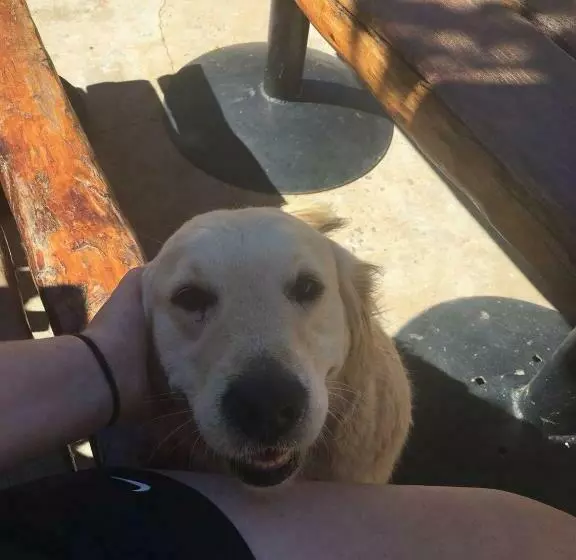 Majatalo Mosterts Hoek Guest House