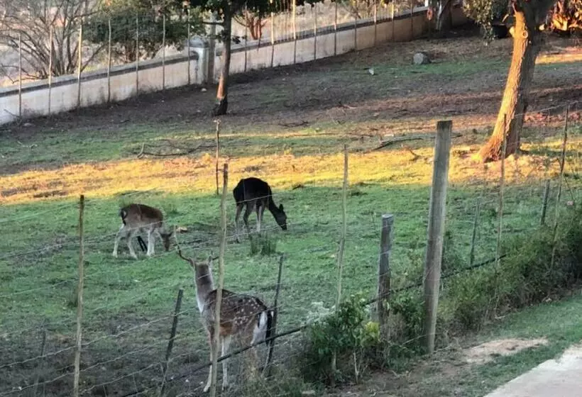 Majatalo Mosterts Hoek Guest House