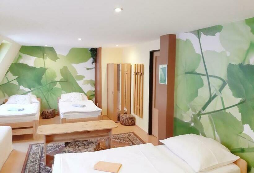 Пансион Penzion Havaj