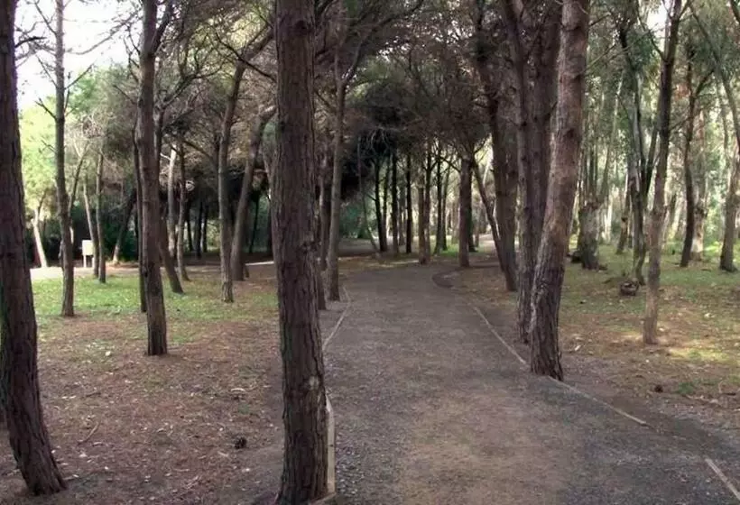 B&b Pineta Mare