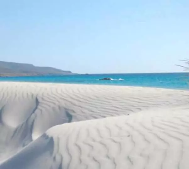 ベッドアンドブレックファースト Agriturismo Is Solinas