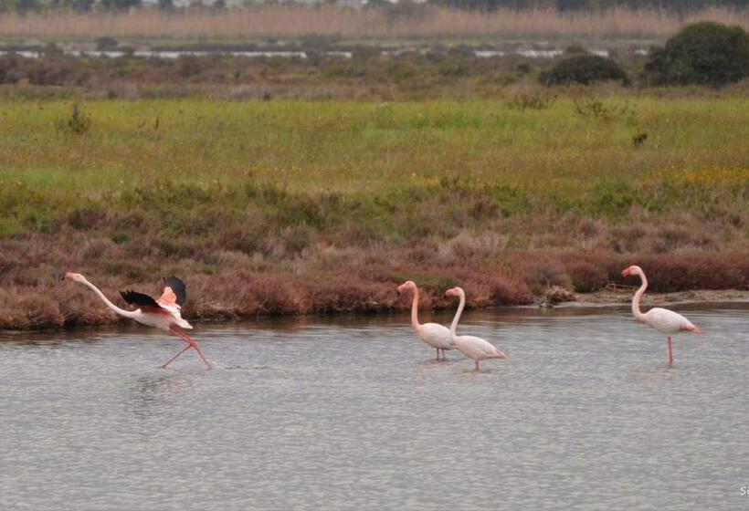 مبيت وإفطار Agriturismo Is Solinas