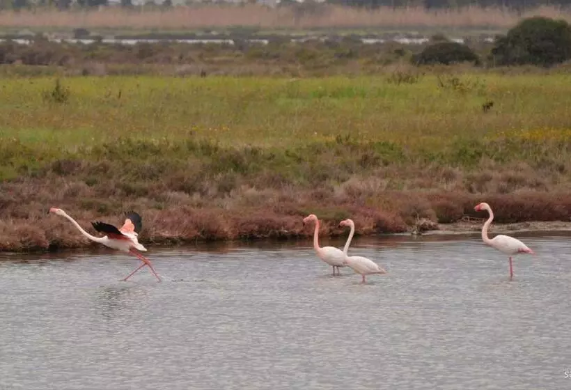 ベッドアンドブレックファースト Agriturismo Is Solinas
