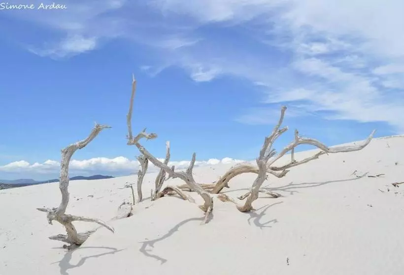 ベッドアンドブレックファースト Agriturismo Is Solinas