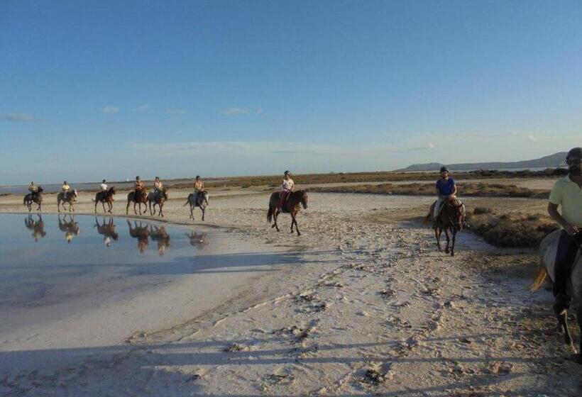 مبيت وإفطار Agriturismo Is Solinas