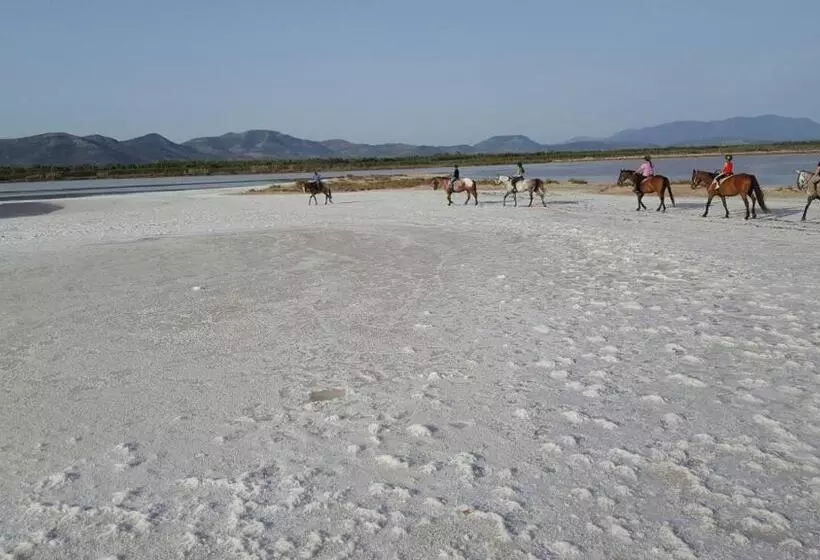 ベッドアンドブレックファースト Agriturismo Is Solinas