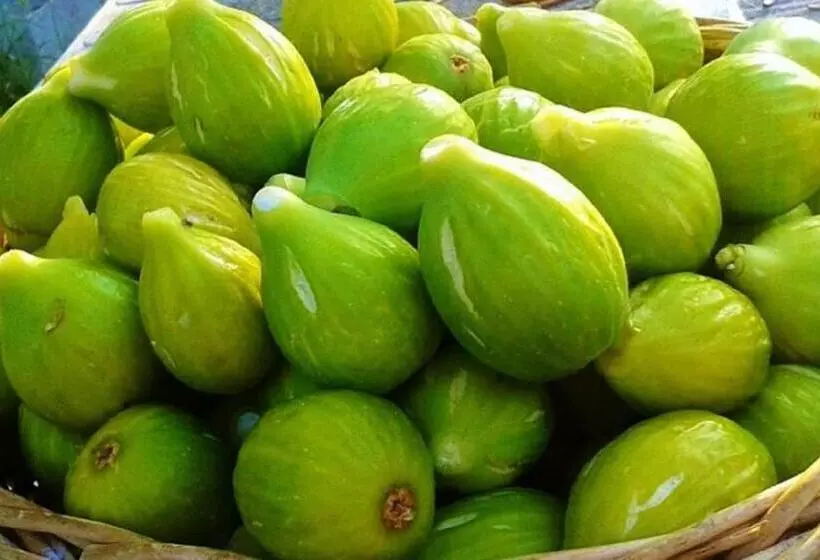 Aamiaismajoitus (B&B) Casale Calabria