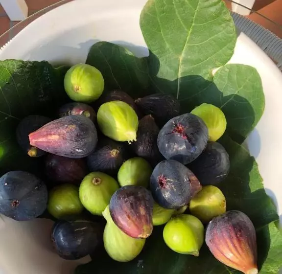 Aamiaismajoitus (B&B) Casale Calabria