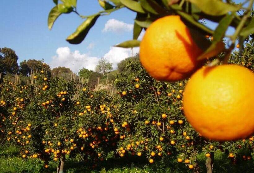 مبيت وإفطار Casale Calabria