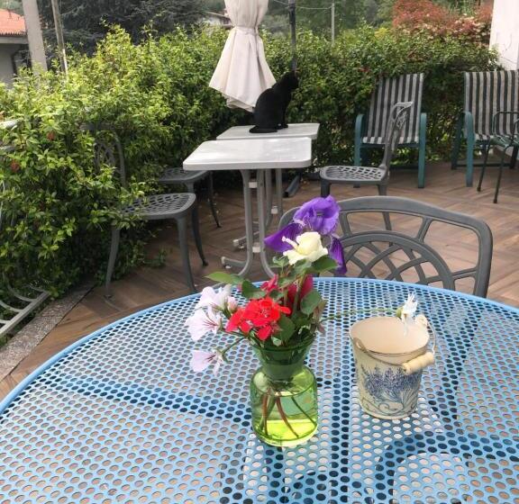 Bed and Breakfast Il Gelsomino