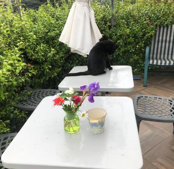 Bed and Breakfast Il Gelsomino