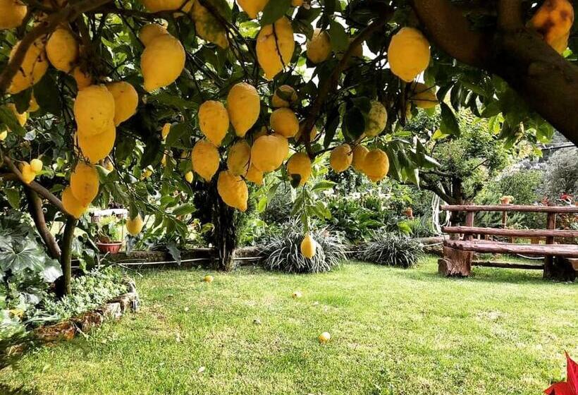 تختخواب و صبحانه L Angolo Di Campagna