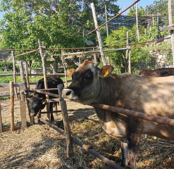 تختخواب و صبحانه L Angolo Di Campagna