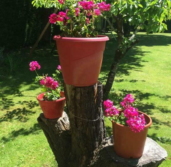 住宿加早餐 La Mimona