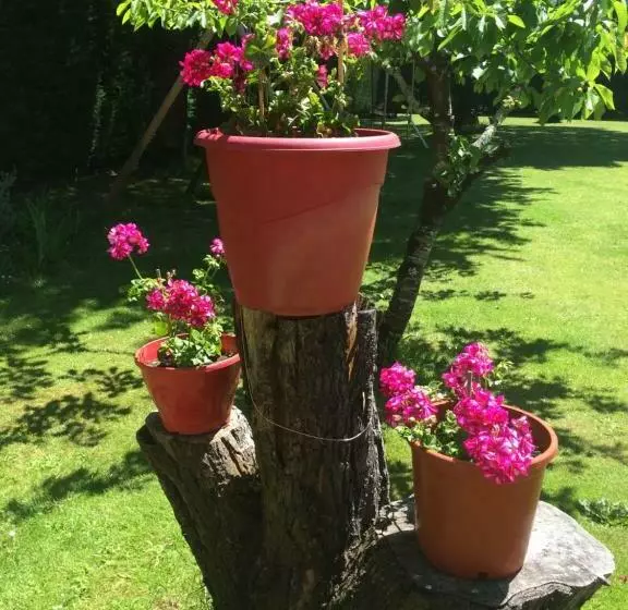 Aamiaismajoitus (B&B) La Mimona