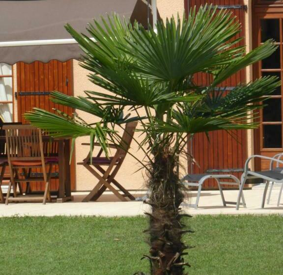 住宿加早餐 La Mimona