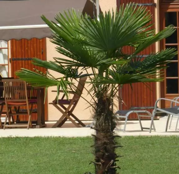 Aamiaismajoitus (B&B) La Mimona