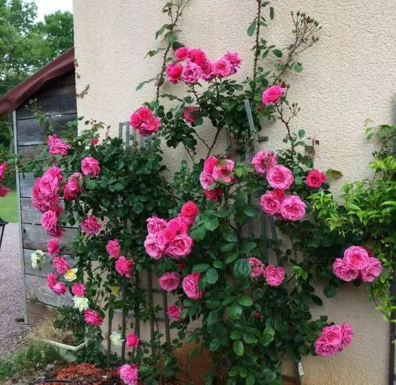 Aamiaismajoitus (B&B) La Mimona