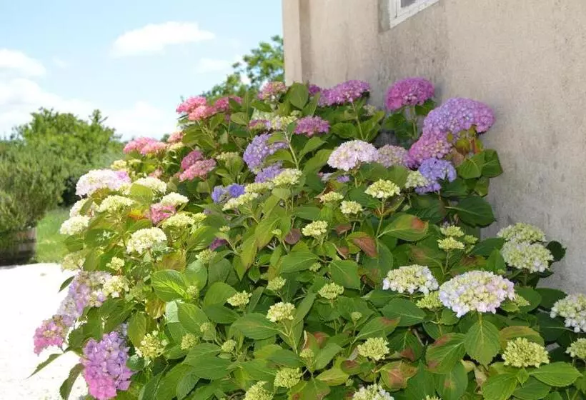 Aamiaismajoitus (B&B) La Vieille Distillerie