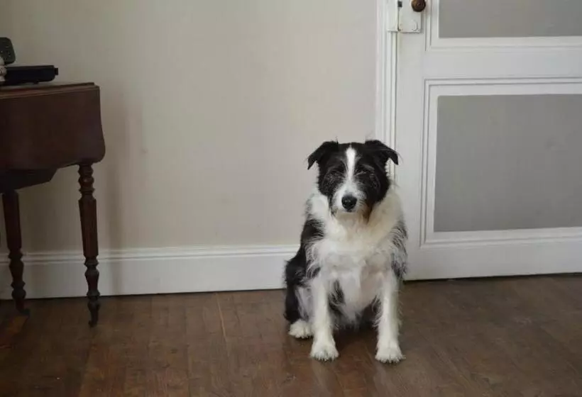 Aamiaismajoitus (B&B) La Vieille Distillerie