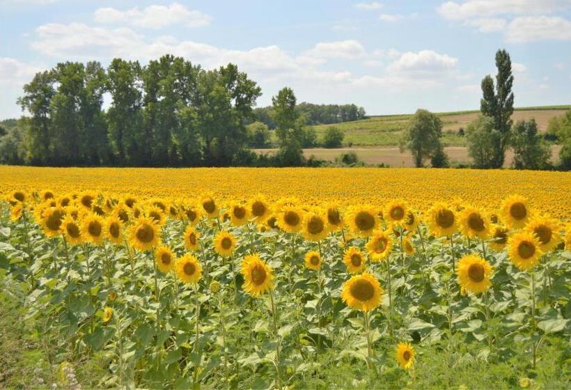 ベッドアンドブレックファースト La Vieille Distillerie