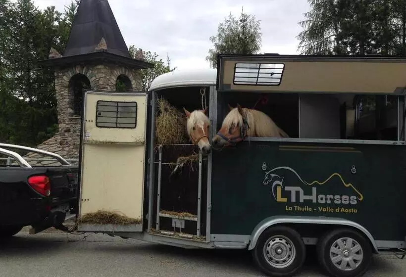 تختخواب و صبحانه Lthorses & Dreams