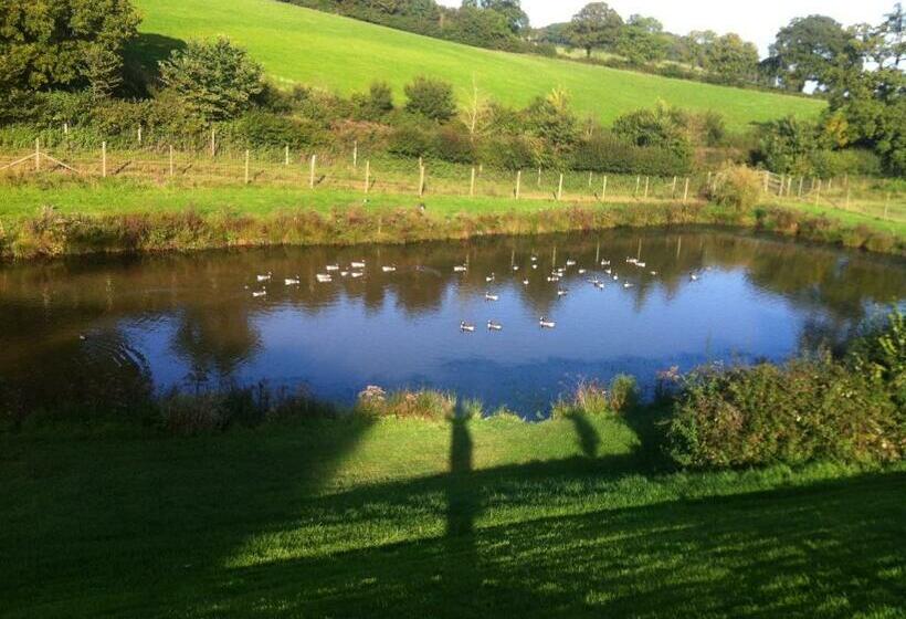 East Dunster Deer Farm B&b