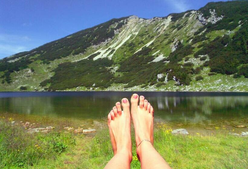 فندق Pension Eichenhof