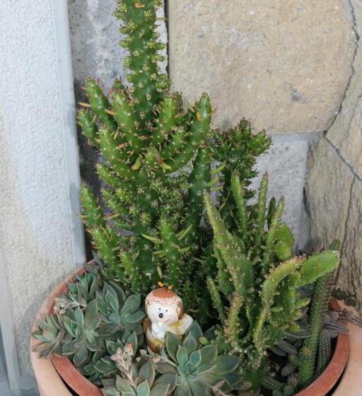 بنسيون Al Bosco Delle Api