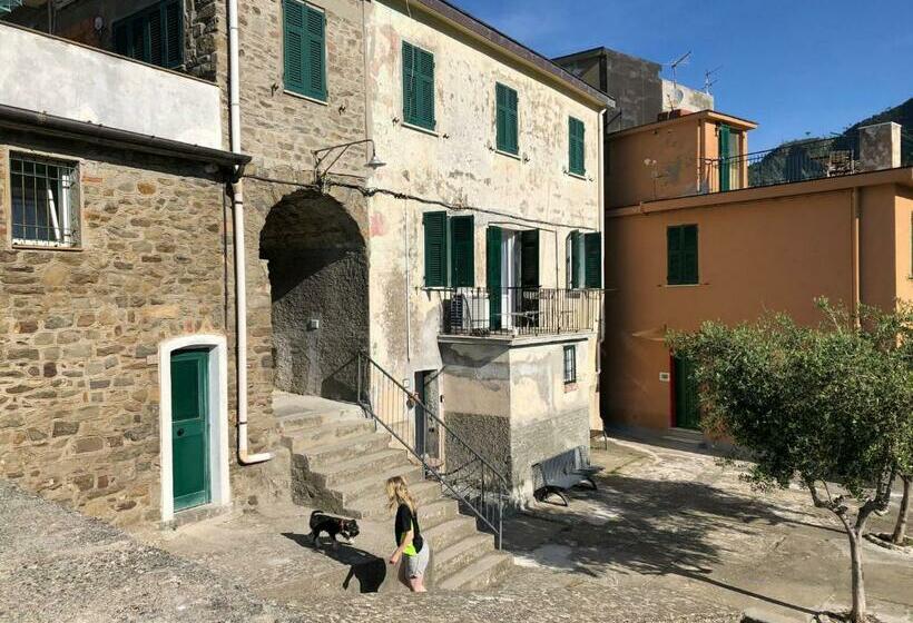 Pensjonat Affittacamere Il Timone